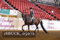 18BUCK_05072 proof