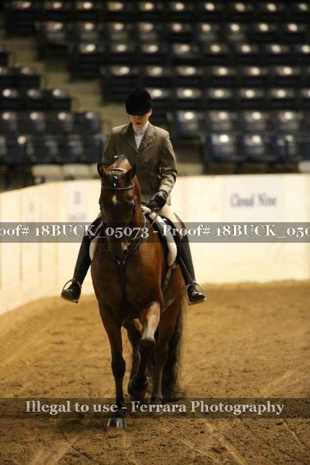 Proof 18BUCK_05073