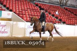 18BUCK_05074 proof