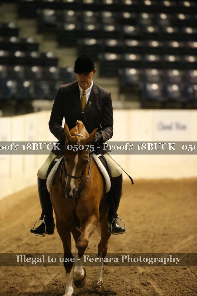 Proof 18BUCK_05075