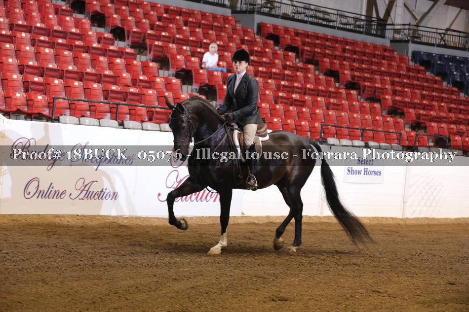 Proof 18BUCK_05076
