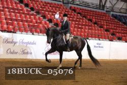 18BUCK_05076 proof