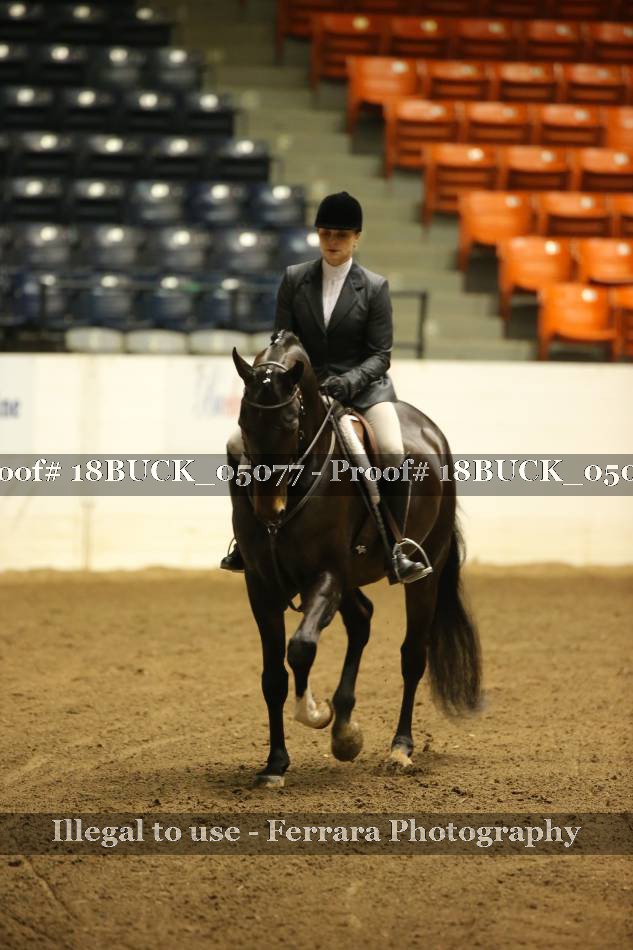 Proof 18BUCK_05077