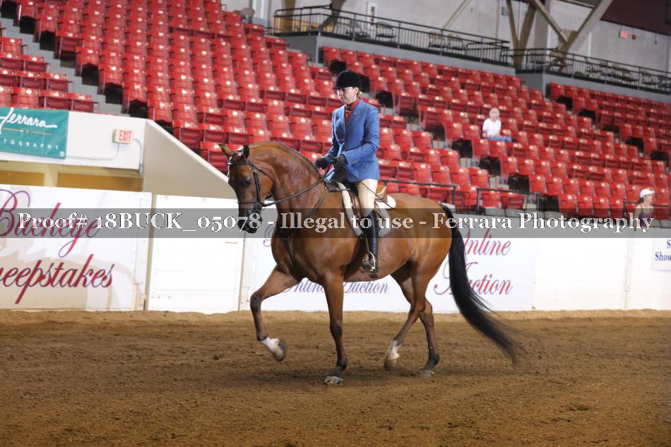Proof 18BUCK_05078