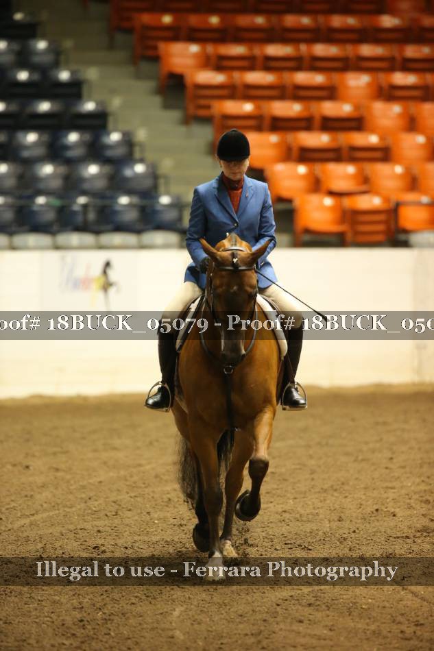 Proof 18BUCK_05079