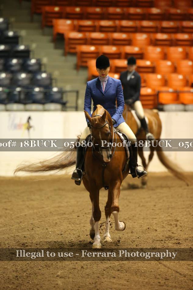 Proof 18BUCK_05080