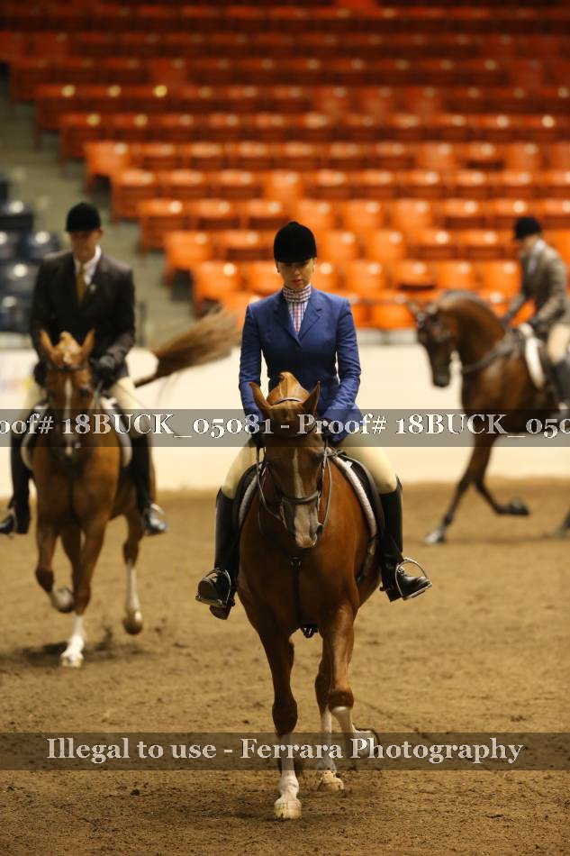 Proof 18BUCK_05081