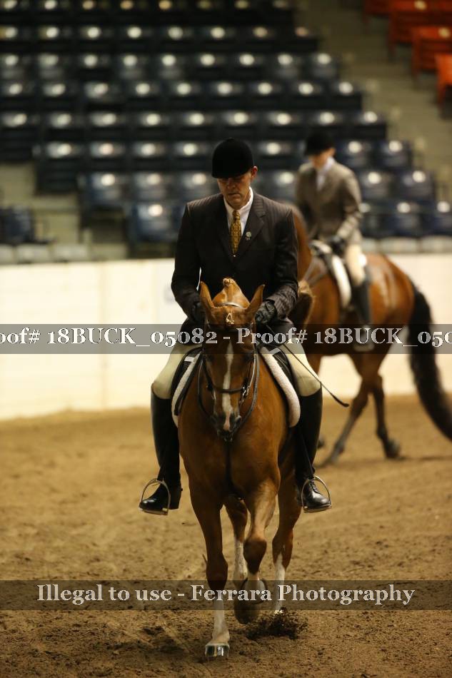Proof 18BUCK_05082