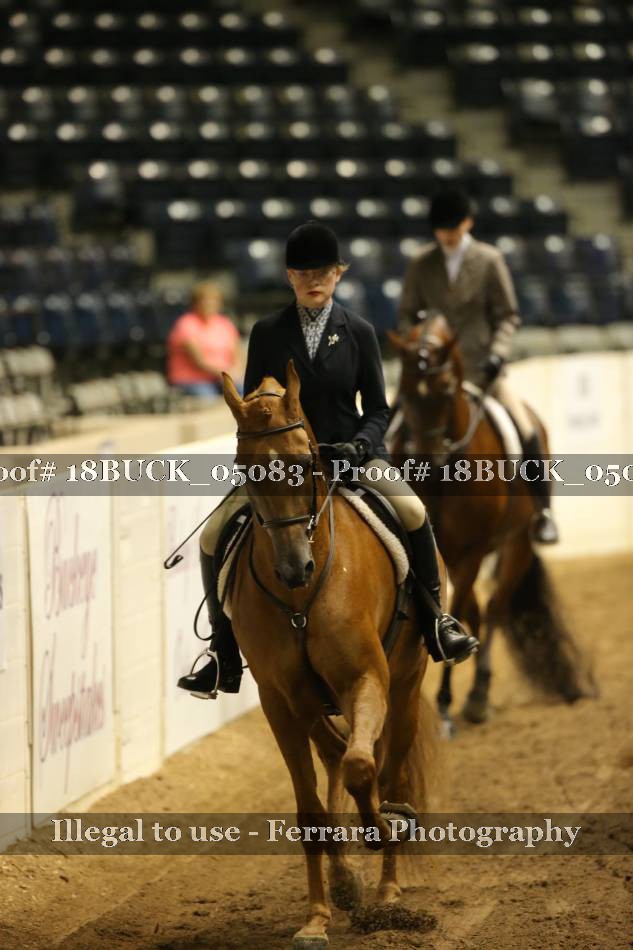 Proof 18BUCK_05083