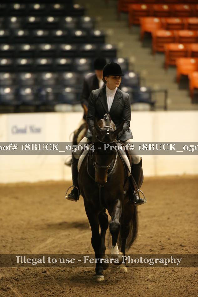 Proof 18BUCK_05084