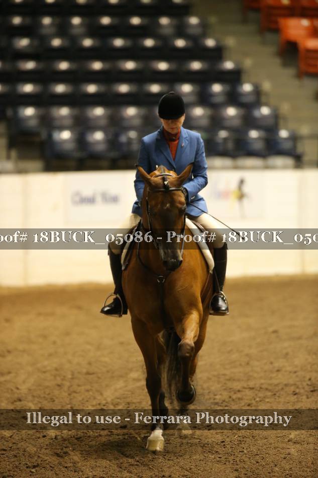 Proof 18BUCK_05086