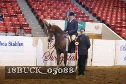 18BUCK_05088 proof