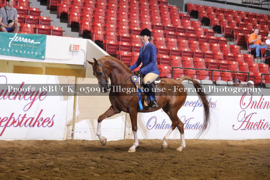Proof 18BUCK_05091