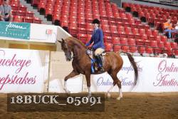 18BUCK_05091 proof