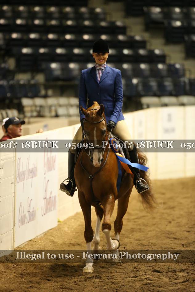 Proof 18BUCK_05092