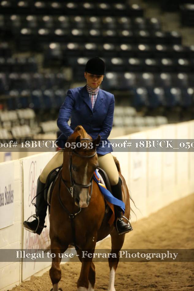 Proof 18BUCK_05093