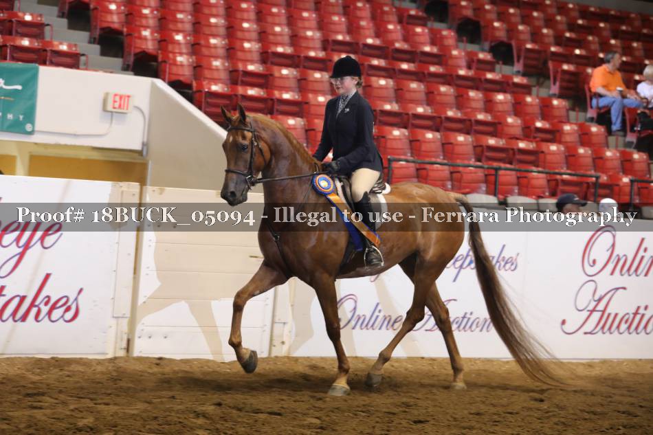 Proof 18BUCK_05094