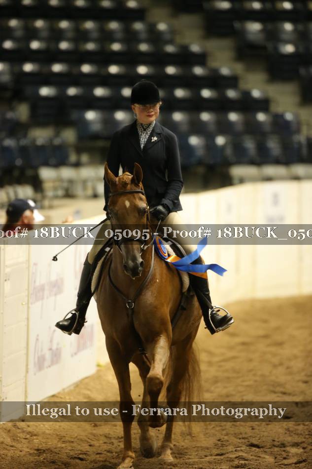 Proof 18BUCK_05095