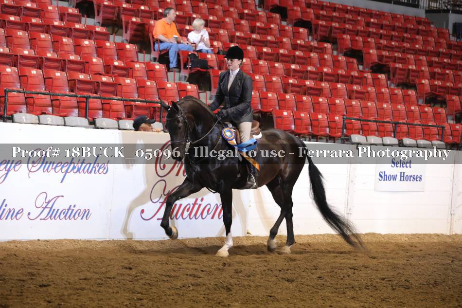 Proof 18BUCK_05096