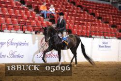 18BUCK_05096 proof