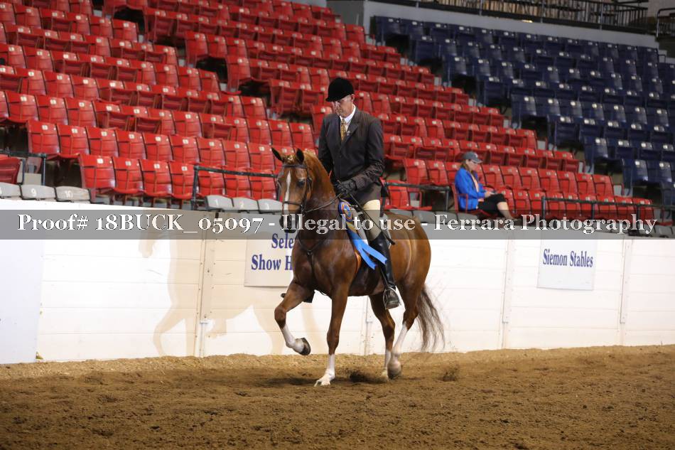Proof 18BUCK_05097