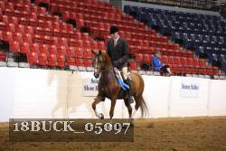 18BUCK_05097 proof