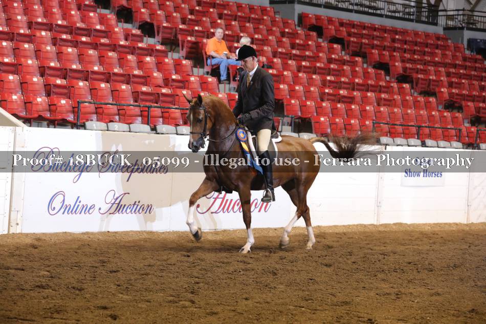 Proof 18BUCK_05099