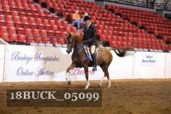 18BUCK_05099 proof