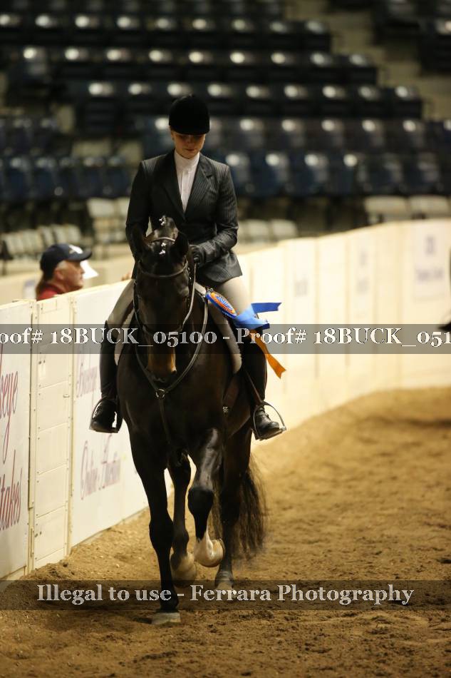Proof 18BUCK_05100