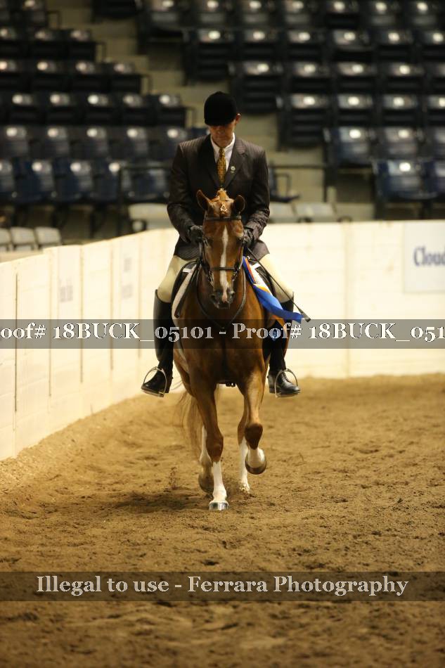 Proof 18BUCK_05101