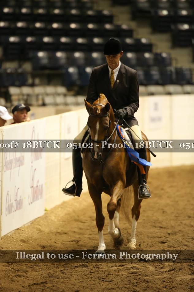 Proof 18BUCK_05102