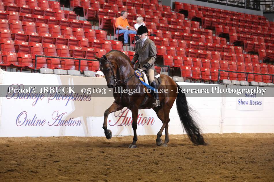 Proof 18BUCK_05103