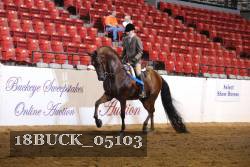 18BUCK_05103 proof