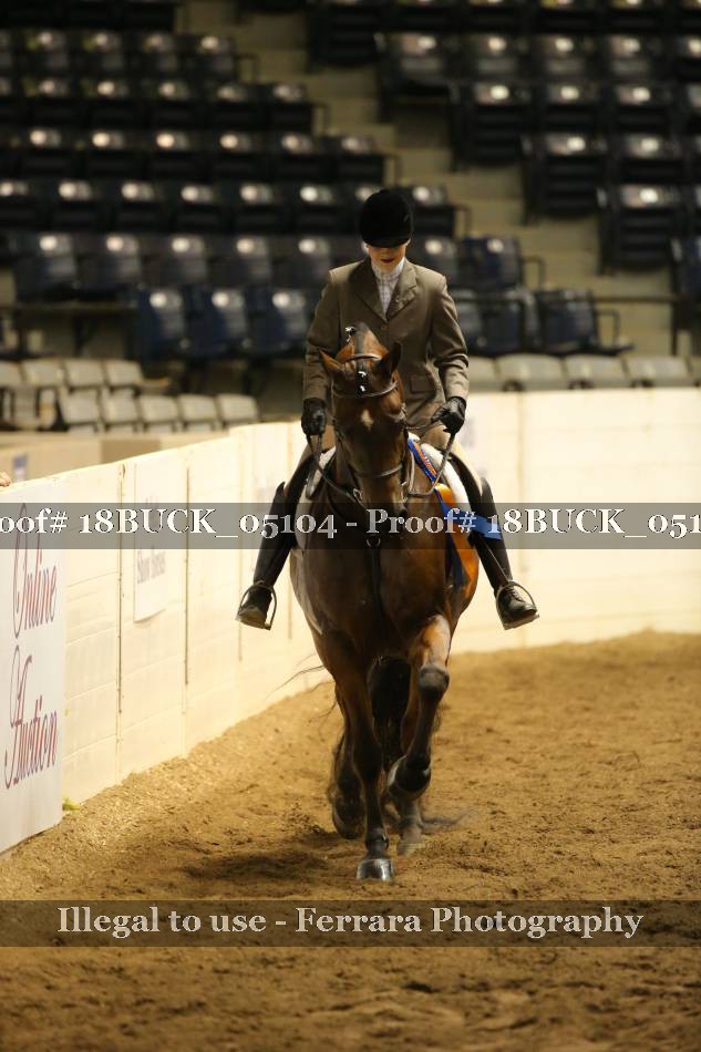 Proof 18BUCK_05104