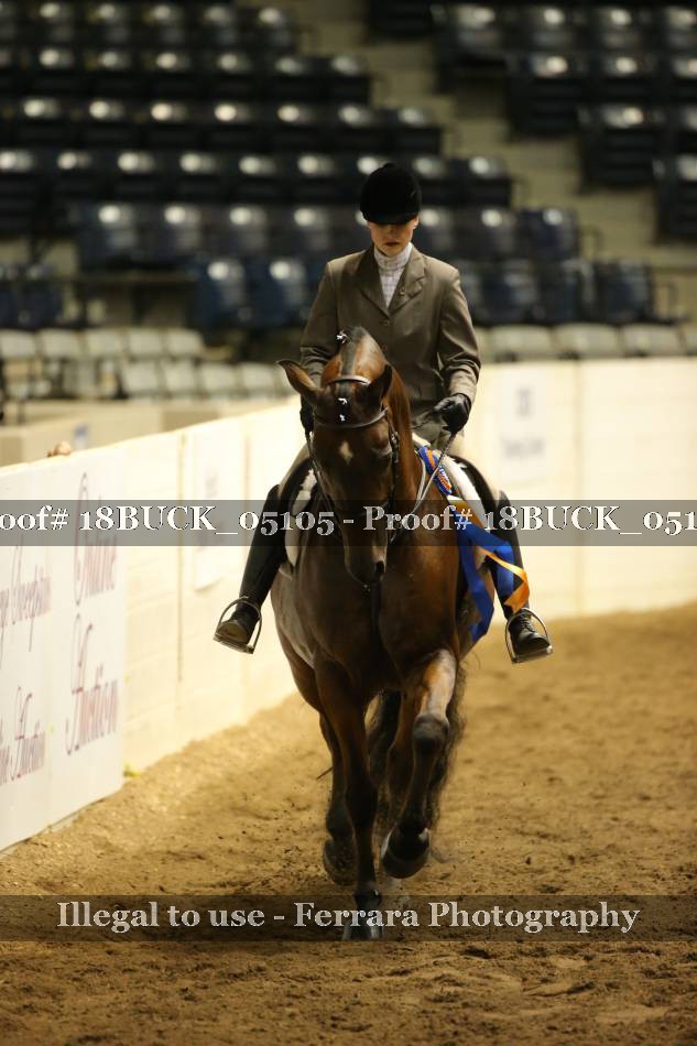 Proof 18BUCK_05105