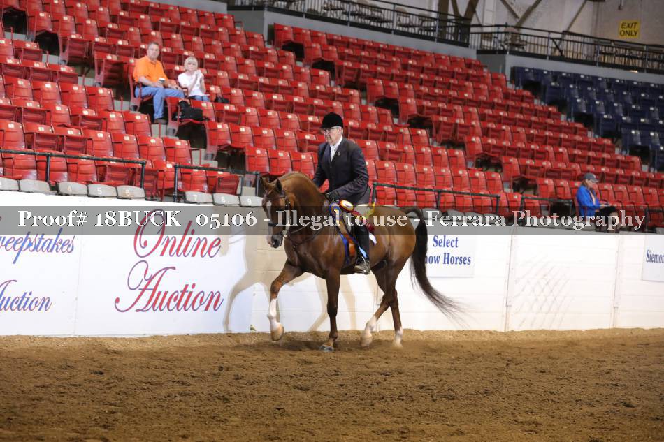 Proof 18BUCK_05106