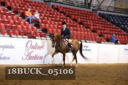 18BUCK_05106 proof
