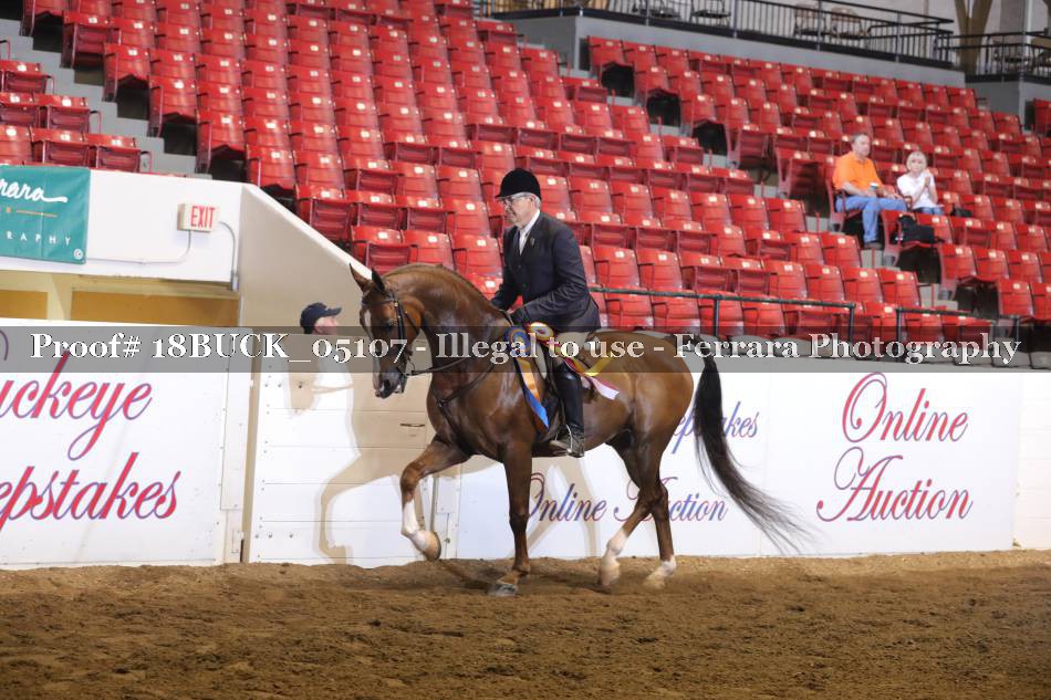 Proof 18BUCK_05107