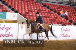 18BUCK_05107 proof