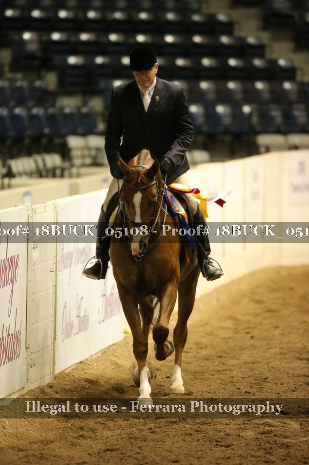 Proof 18BUCK_05108