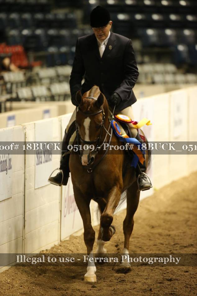 Proof 18BUCK_05109
