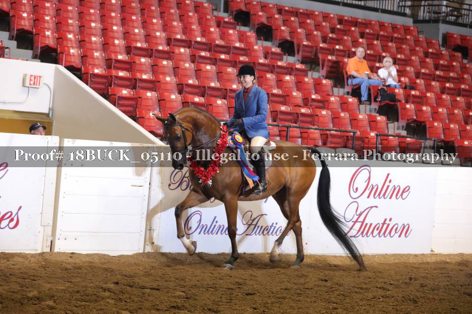 Proof 18BUCK_05110