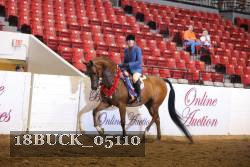 18BUCK_05110 proof