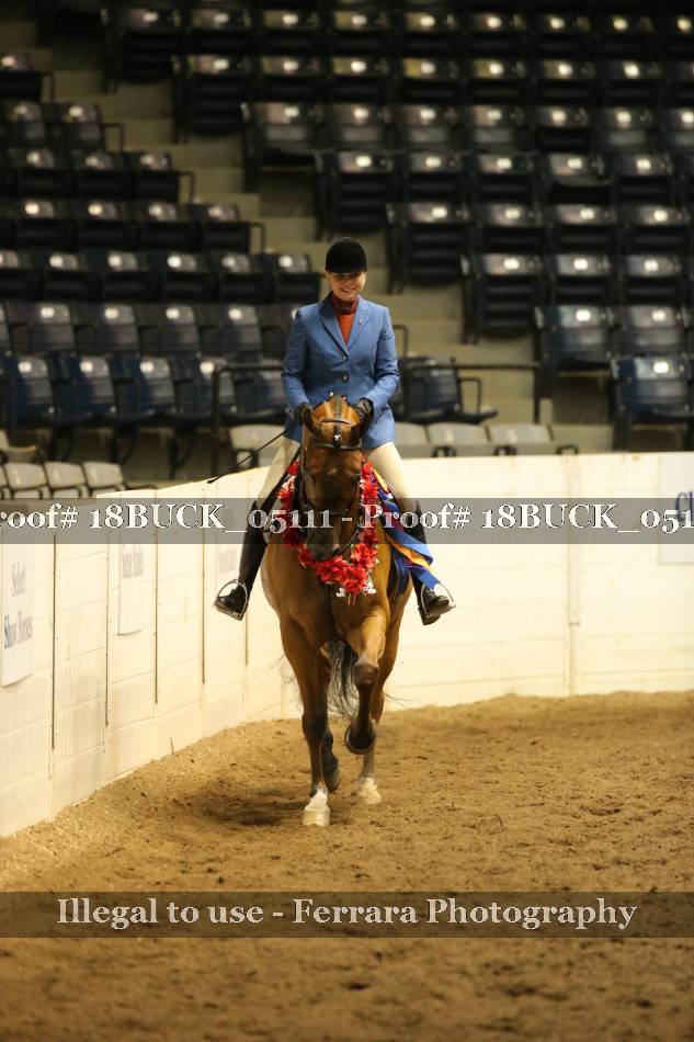 Proof 18BUCK_05111