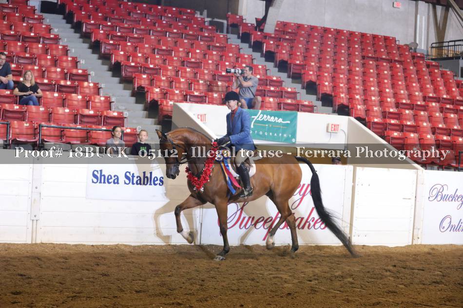 Proof 18BUCK_05112