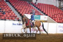 18BUCK_05112 proof