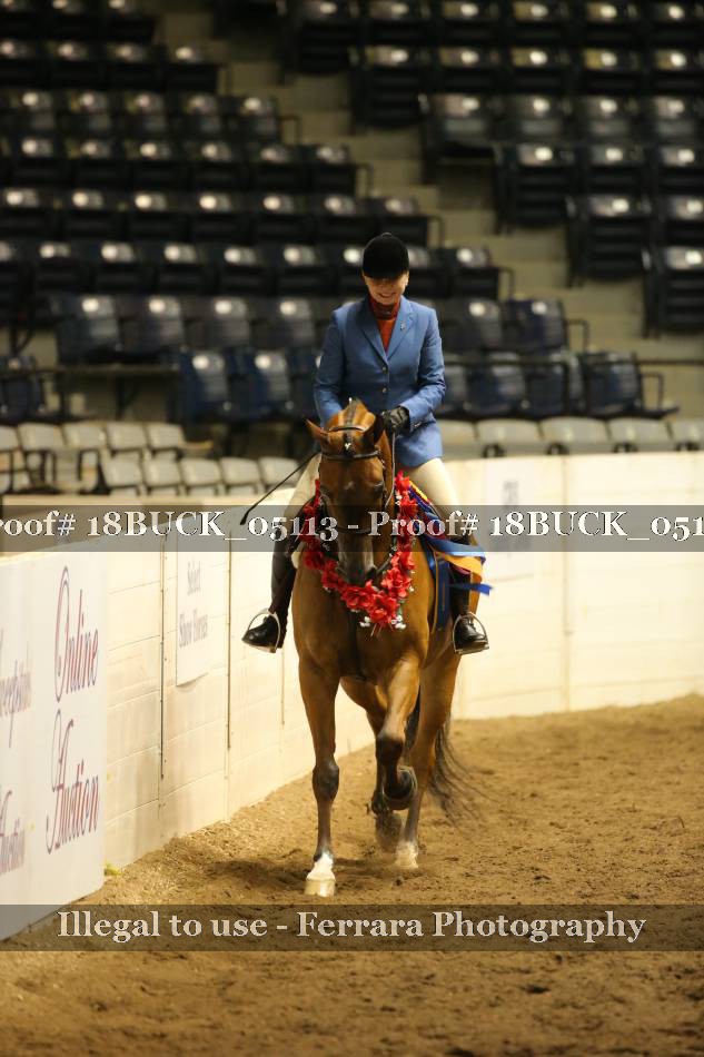 Proof 18BUCK_05113