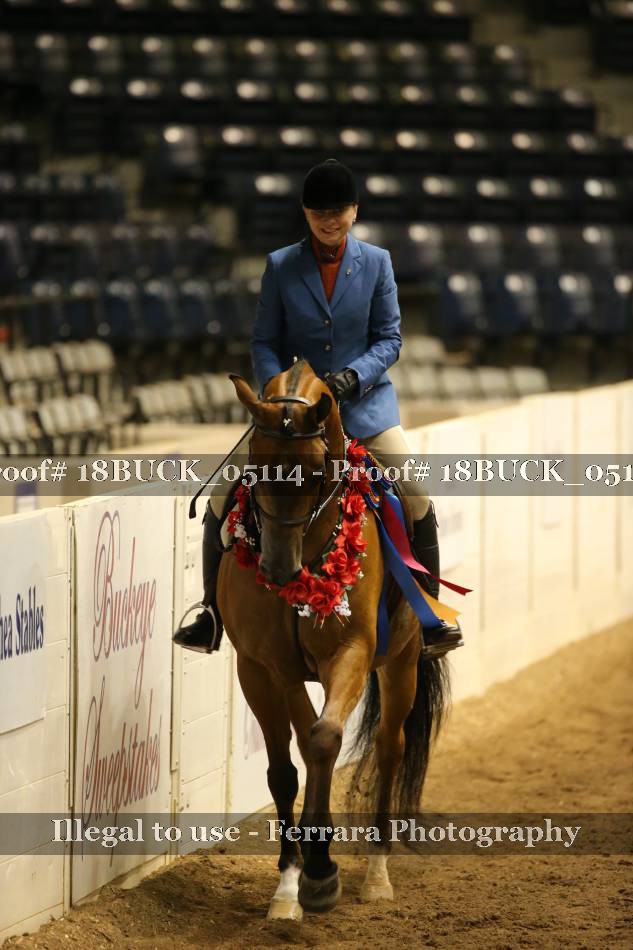 Proof 18BUCK_05114