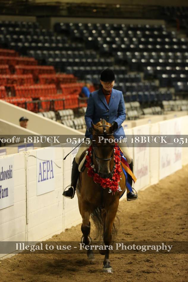 Proof 18BUCK_05115
