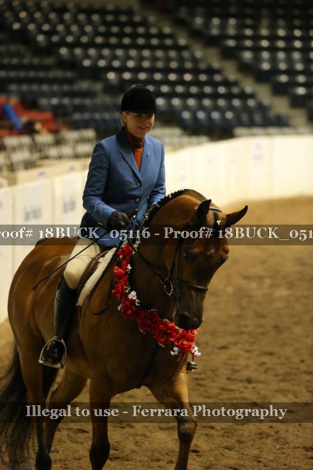 Proof 18BUCK_05116